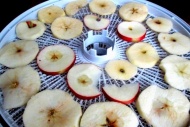 Отзыв: Сушилка Ezidri Snackmaker FD 500, — Нужная вещь в любое время года