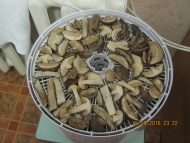 Отзыв: Сушилка Ezidri Snackmaker FD 500, — Удобное, полезное устройство
